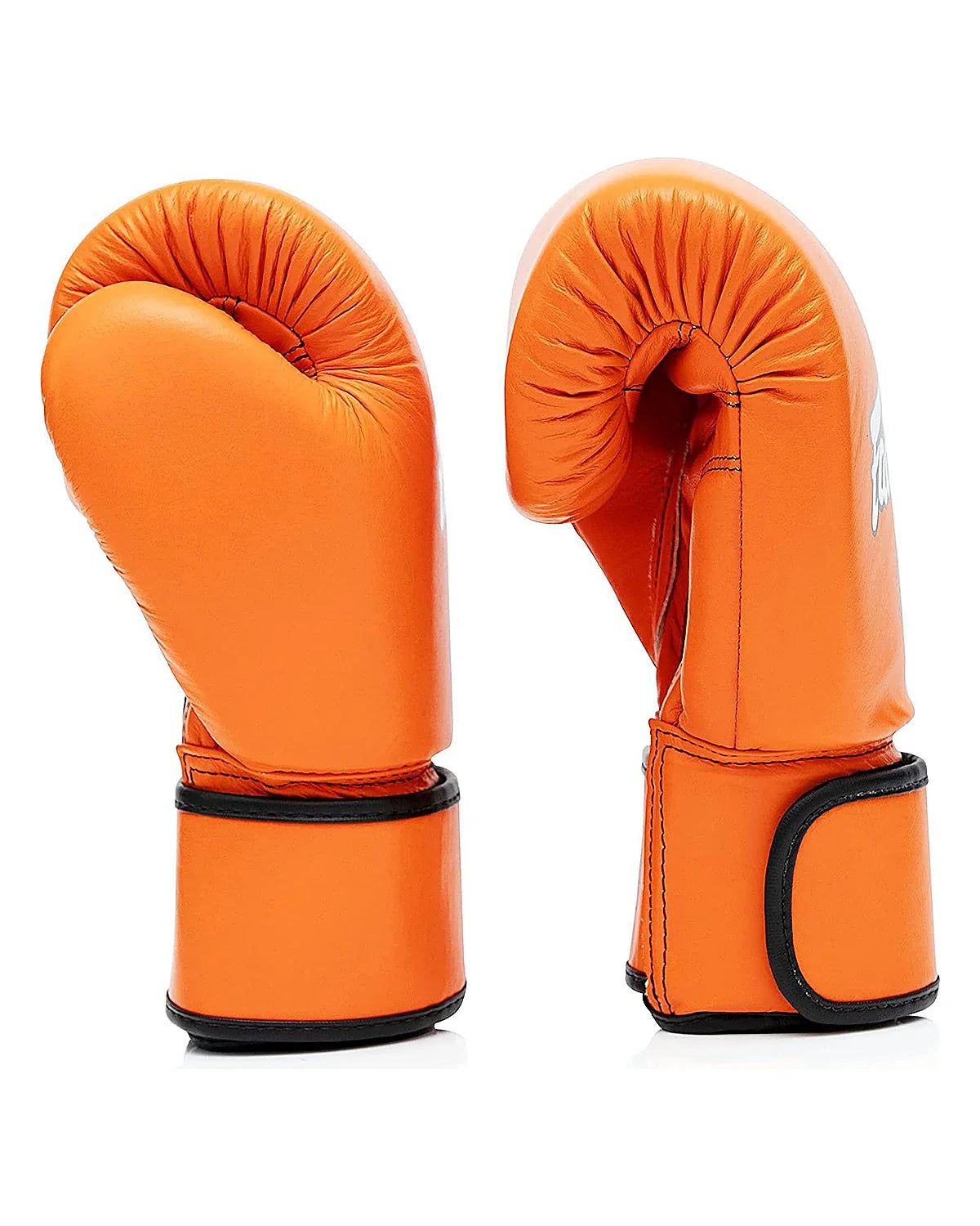 Fairtex Gloves - BGV16