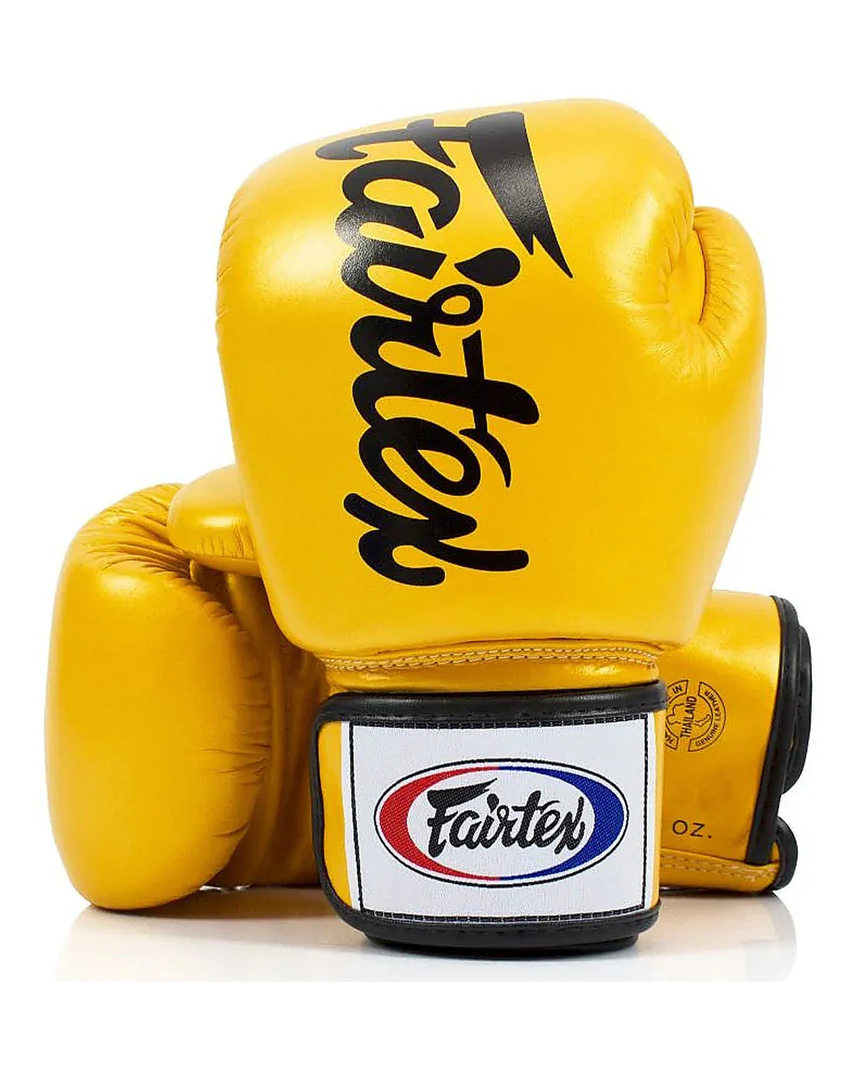 Fairtex Gloves - BGV19