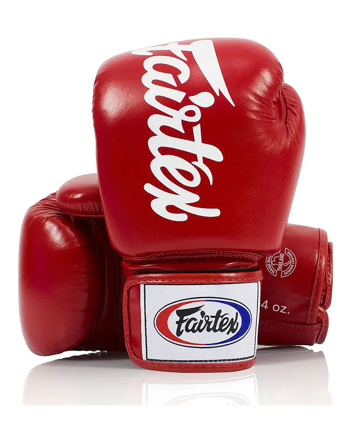 Fairtex Gloves - BGV19