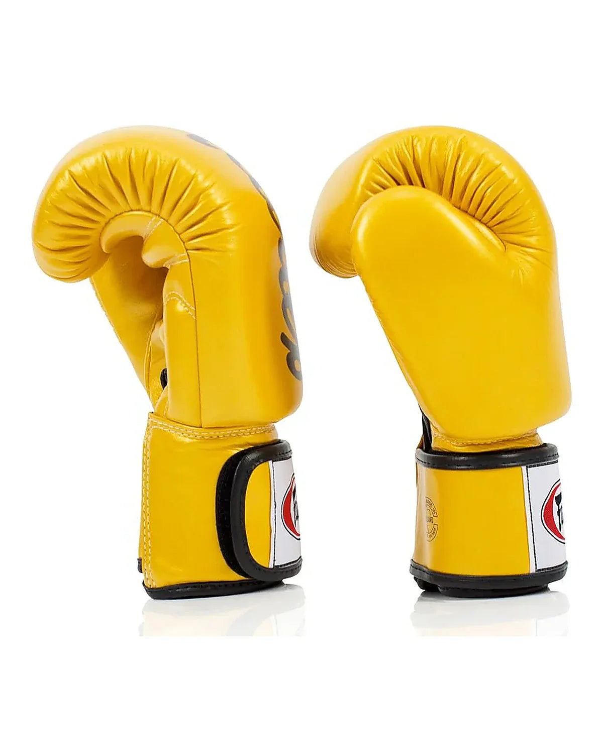 Fairtex Gloves - BGV19