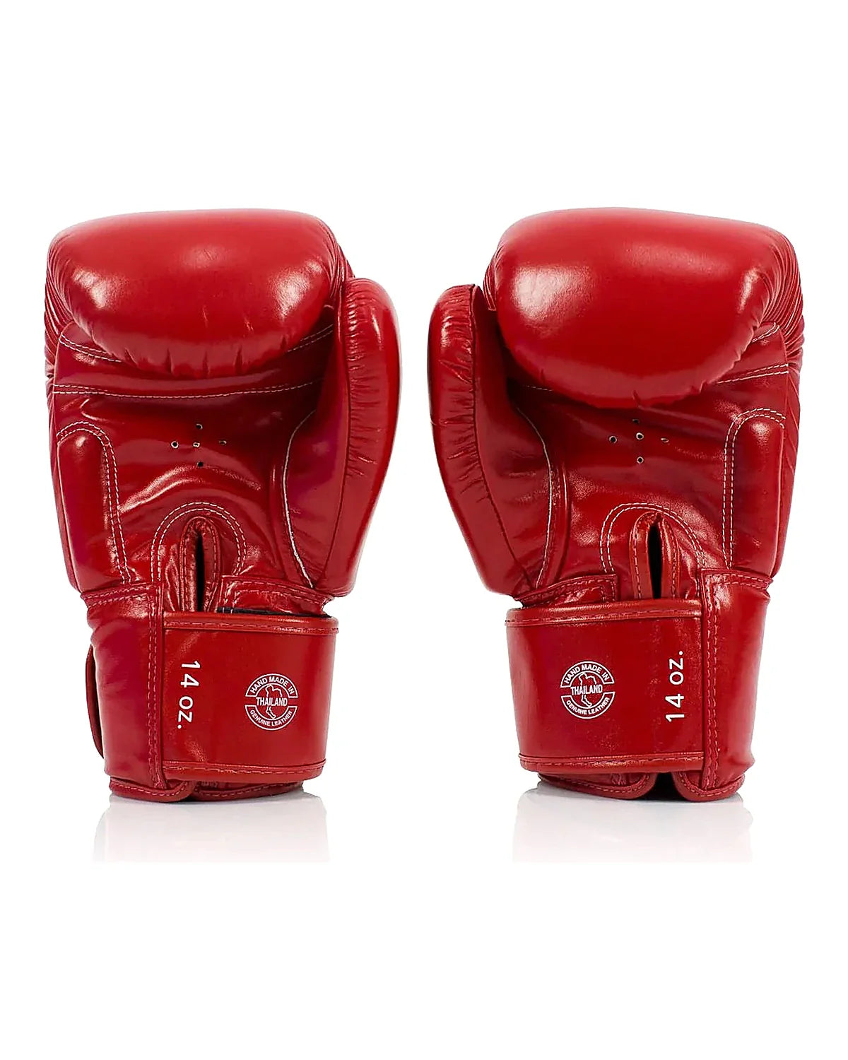 Fairtex Gloves - BGV19