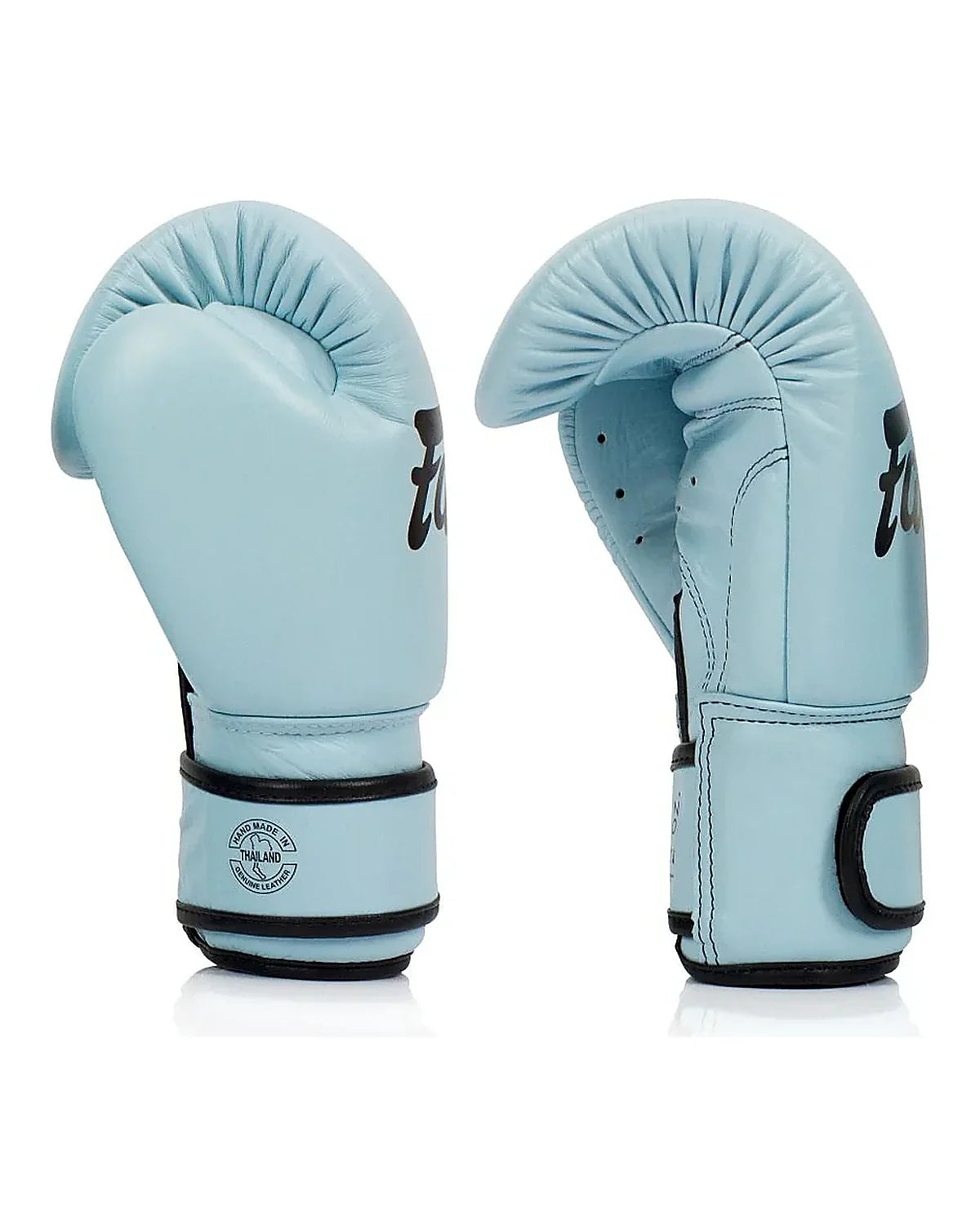 Fairtex Gloves - BGV20