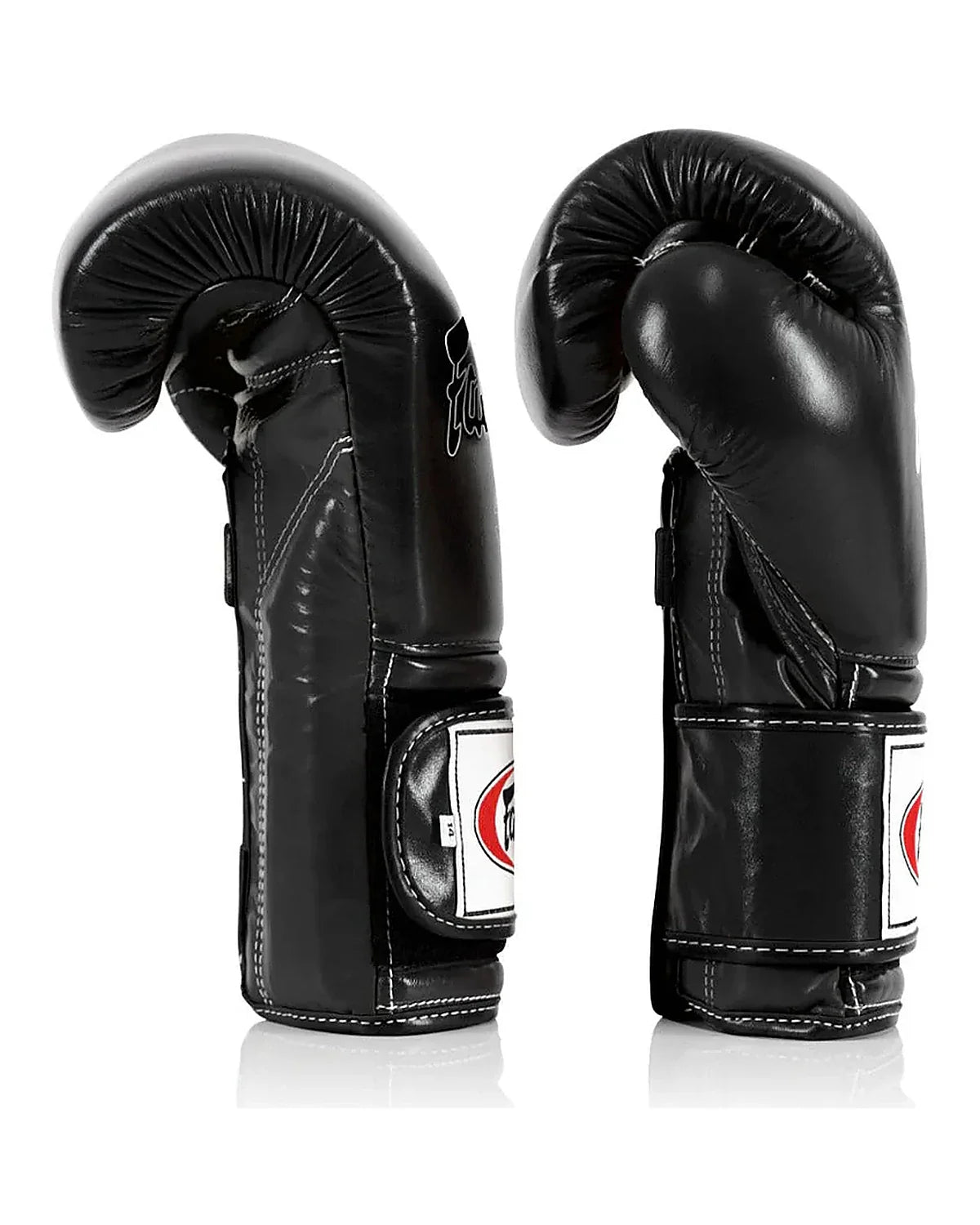 Fairtex Gloves - BGV9
