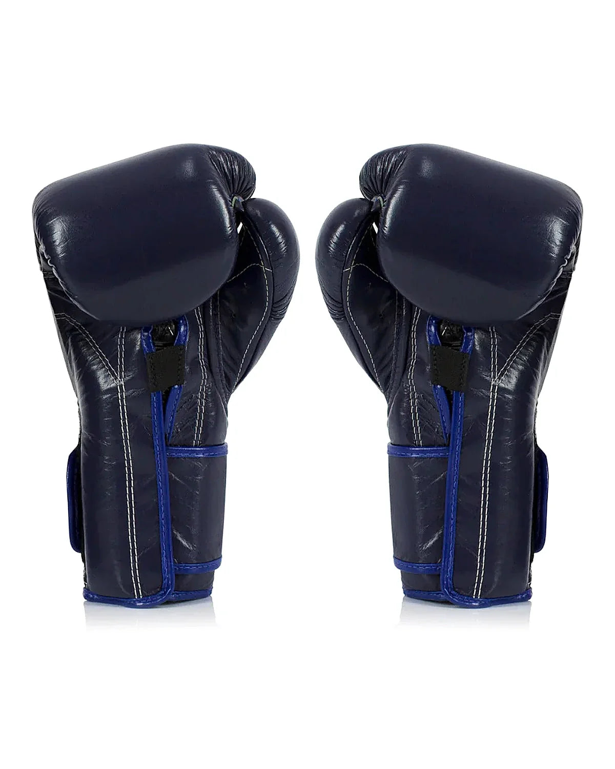 Fairtex Gloves - BGV9