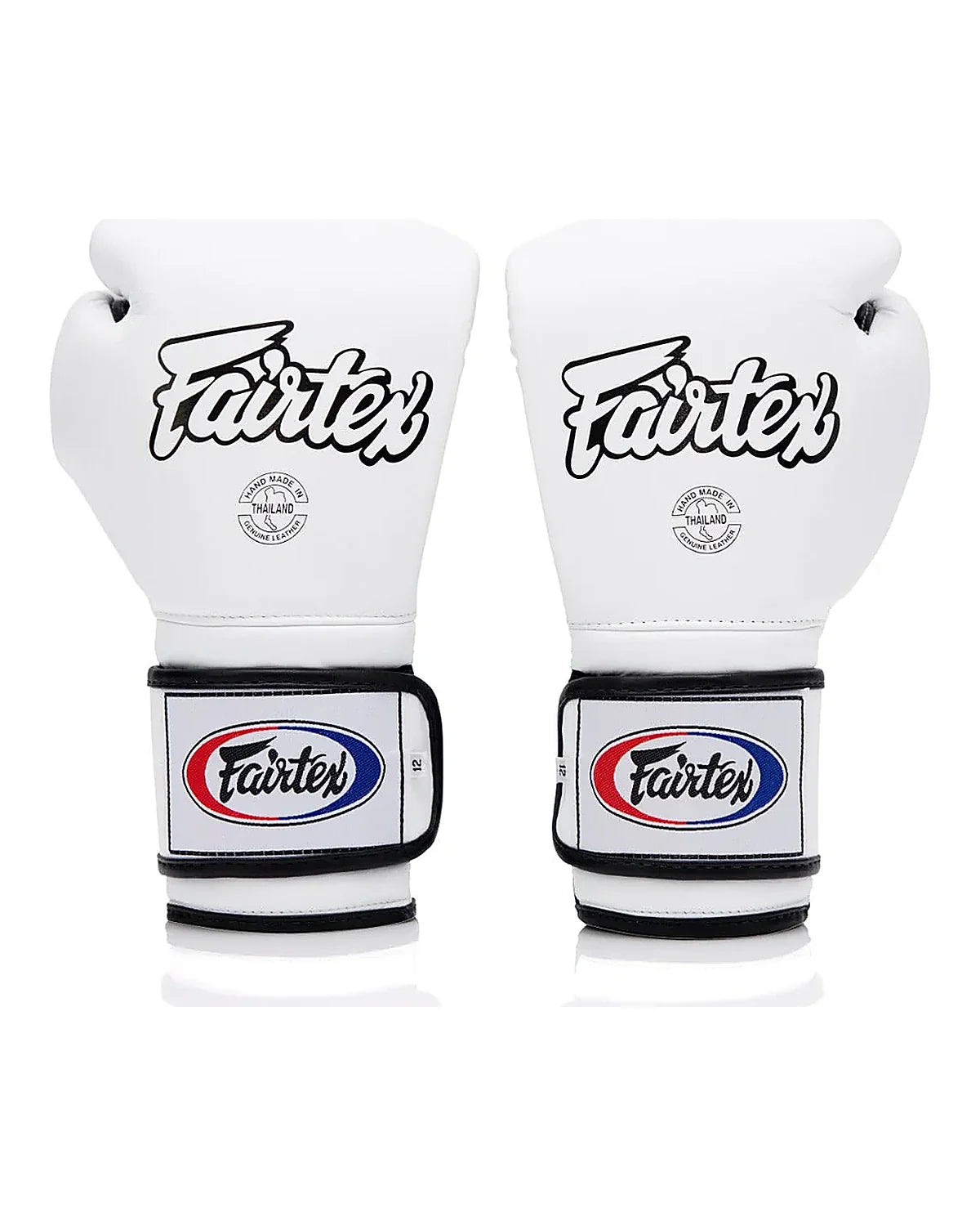 Fairtex Gloves - BGV9