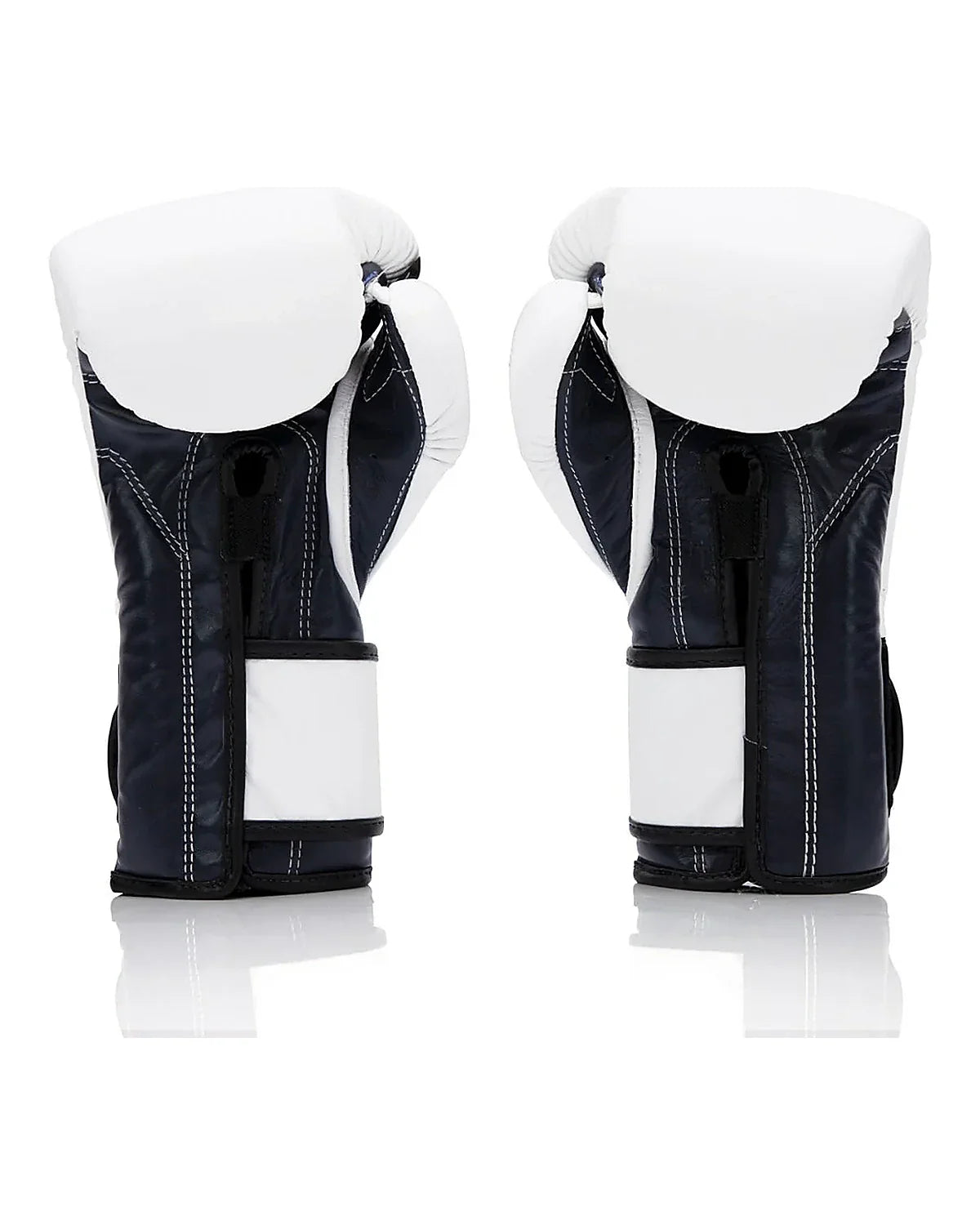 Fairtex Gloves - BGV9