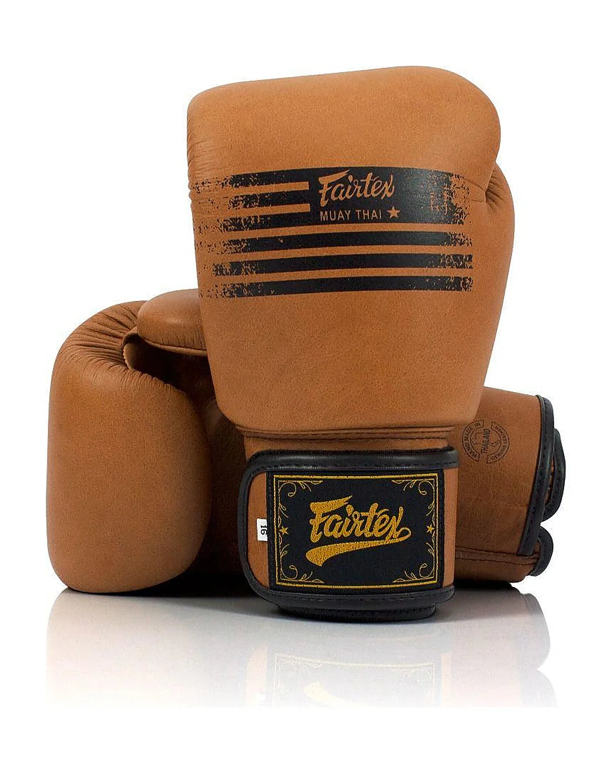 Fairtex Legacy Gloves - BGV21