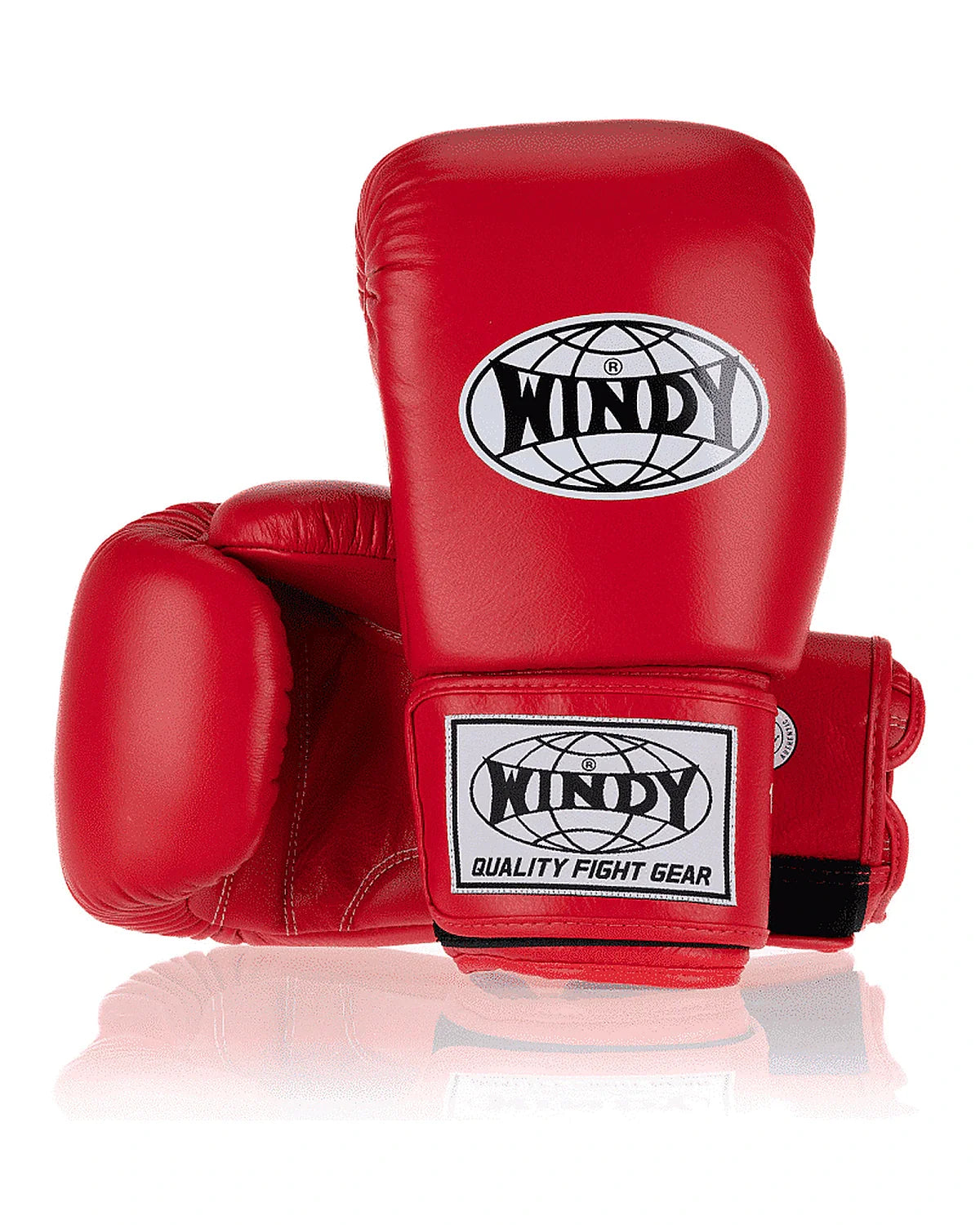 Gants classiques Windy - BGVH