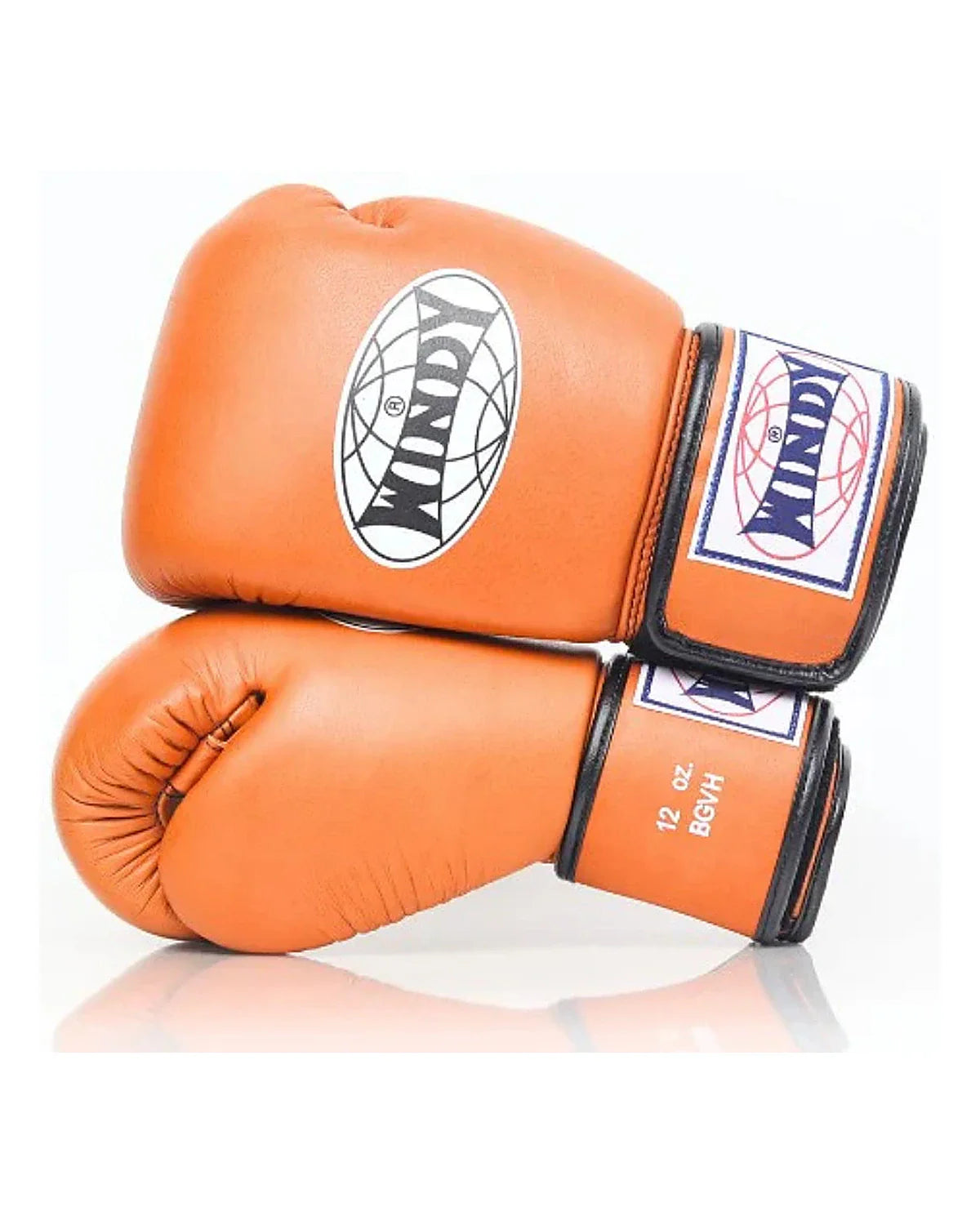 Gants classiques Windy - BGVH