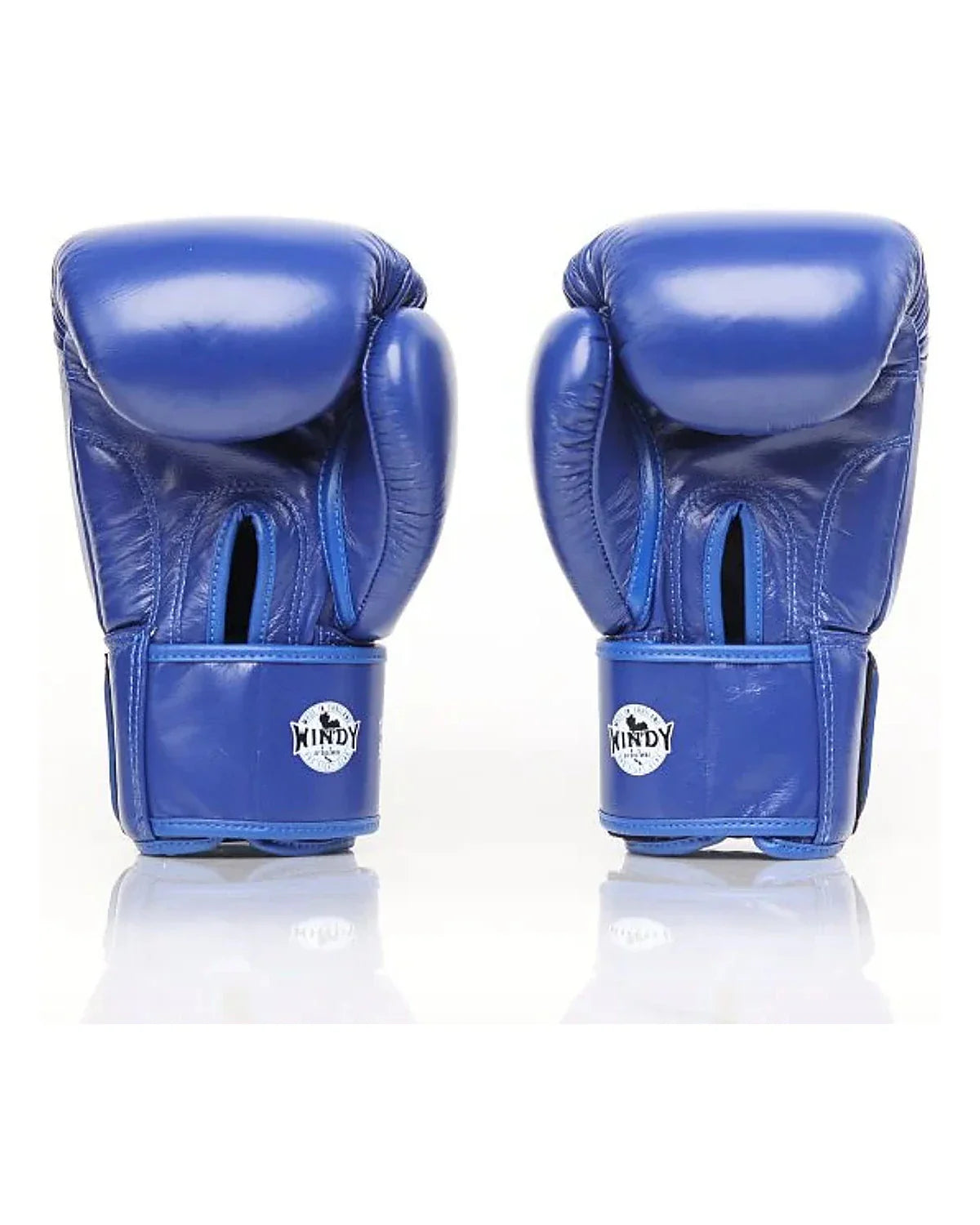 Gants classiques Windy - BGVH