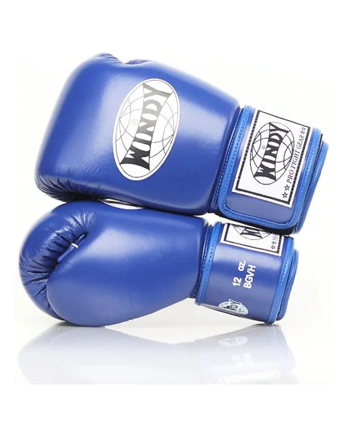 Gants classiques Windy - BGVH