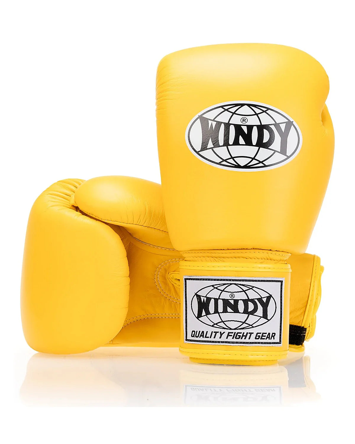 Gants classiques Windy - BGVH