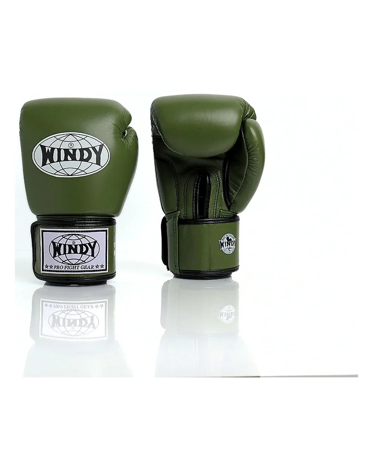 Gants classiques Windy - BGVH