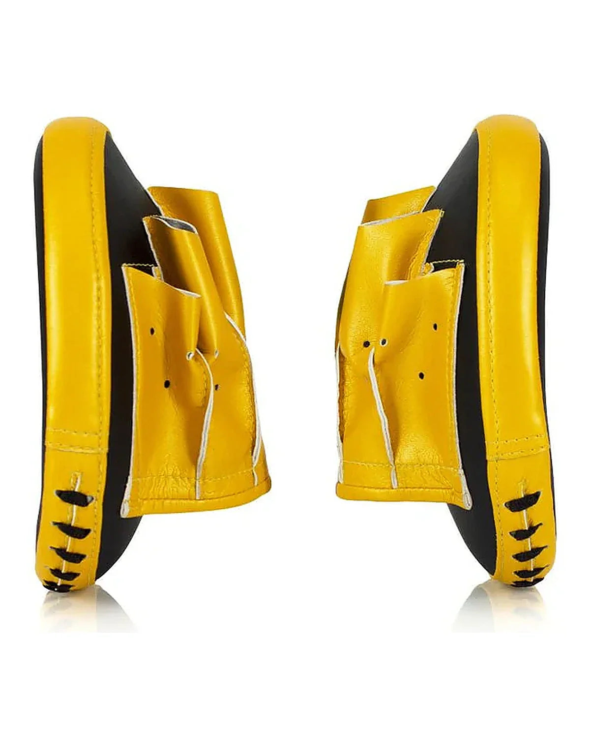 Fairtex Focus Mitts - FMV15