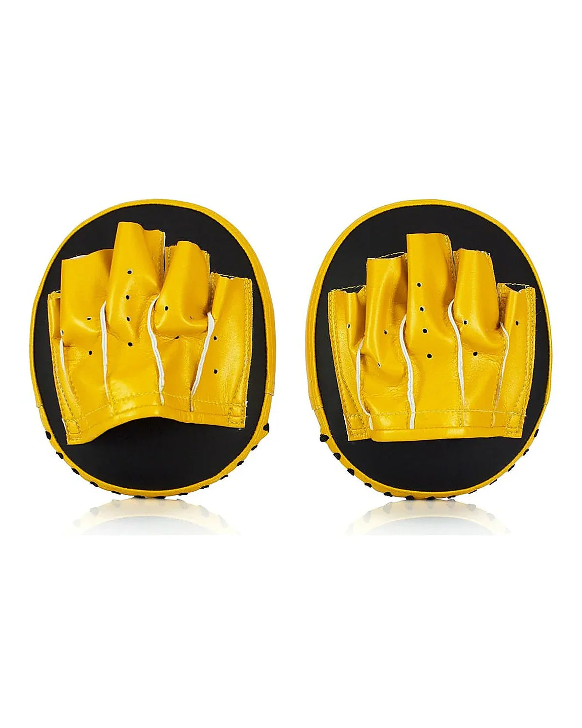 Fairtex Focus Mitts - FMV15