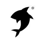 Thai Shark