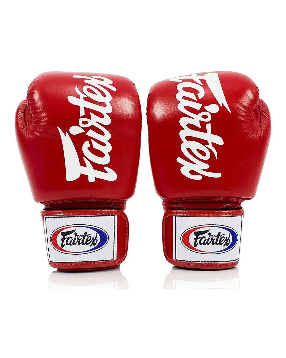 Fairtex Gloves - BGV19
