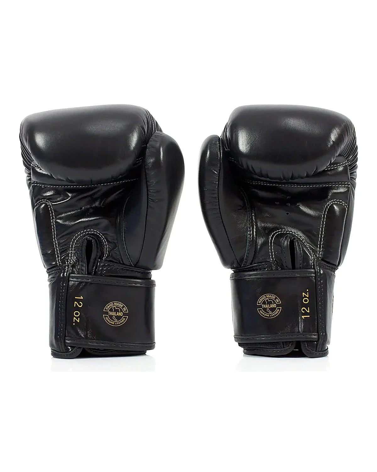 Fairtex Gloves - BGV19
