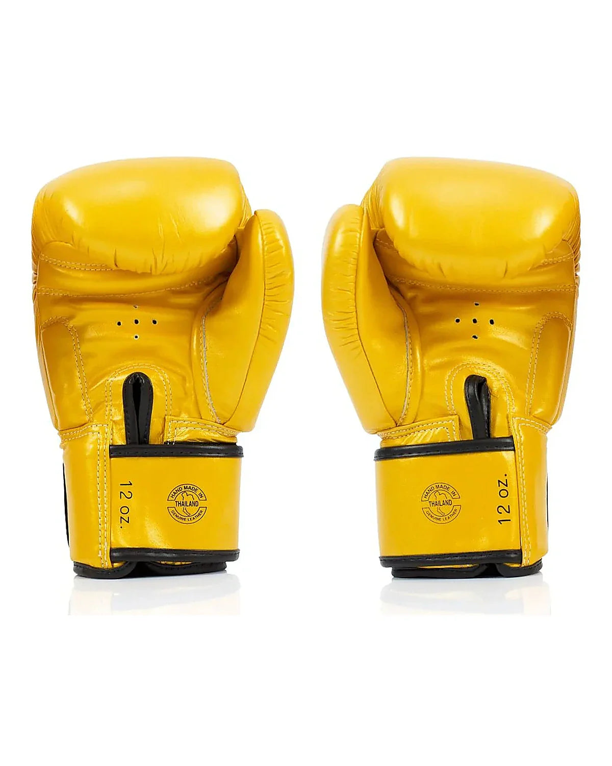 Fairtex Gloves - BGV19