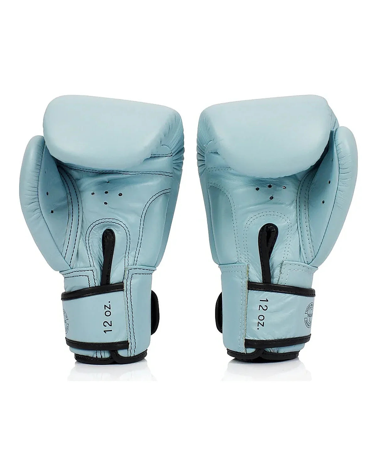 Fairtex Gloves - BGV20