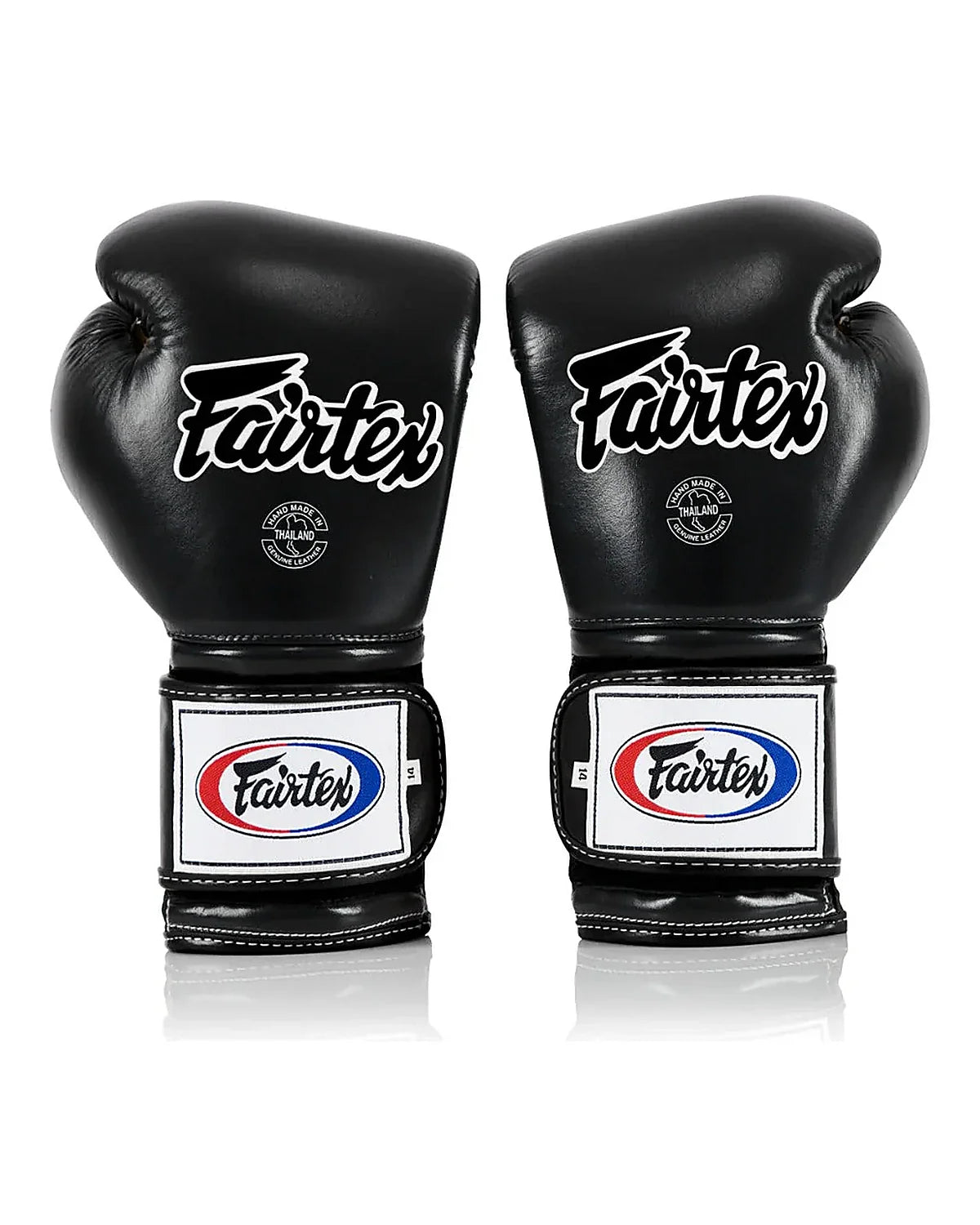 Fairtex Gloves - BGV9