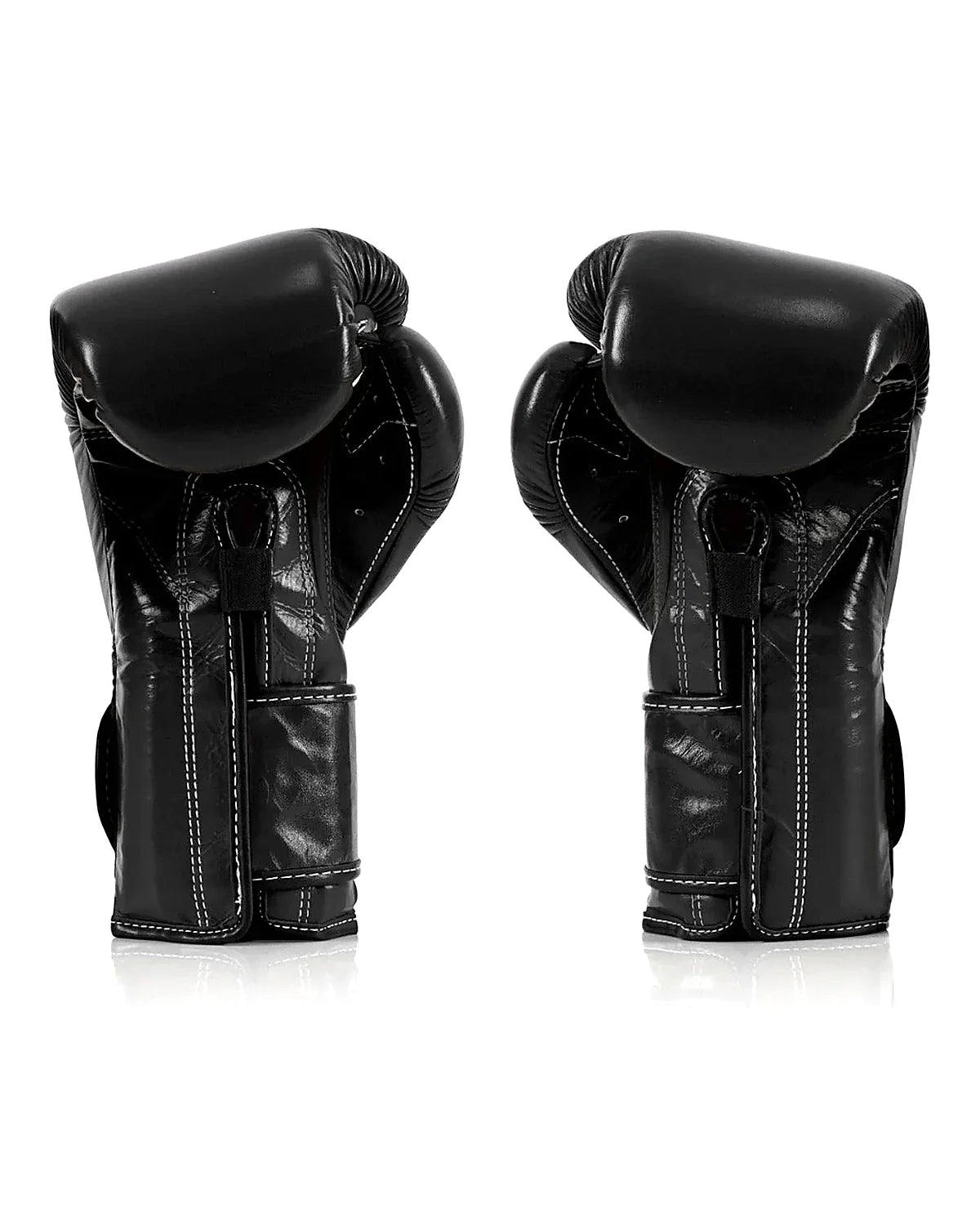 Fairtex Gloves - BGV9