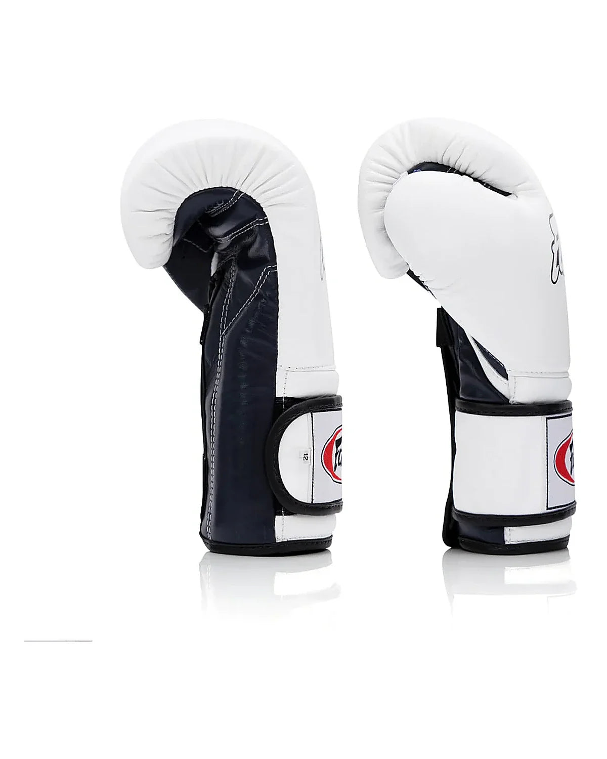 Fairtex Gloves - BGV9